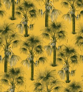 Coleção Attilio e Gregório – Palmeira Amarela